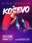 Dino Merlin koncert Sarajevo